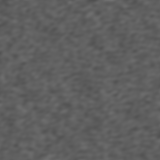 Learned WavePINN wavefield animation